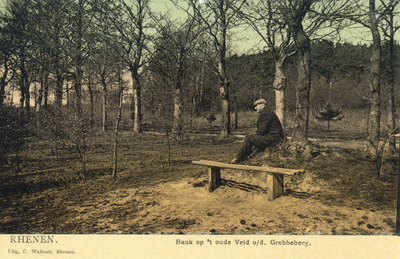 13334 Gezicht op 't Oude Veld in het bos op de Grebbeberg te Grebbe (gemeente Rhenen).